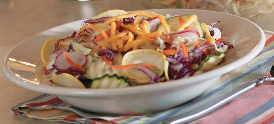 Salad Master Vs Healthy Cooking