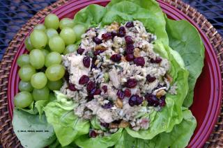 Saladmaster 316Ti Recipe Chicken, Rice and Cranberry Salad