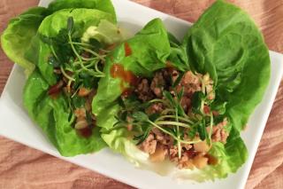 Saladmaster Recipe Asian Inspired Lettuce Wraps