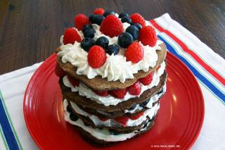 Saladmaster Recipe Chocolate Layered Griddle Cake by Cathy Vogt