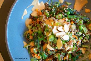 Saladmaster Recipe Vegetable Quinoa Bowl with Spicy Peanut Sauce by Cathy Vogt