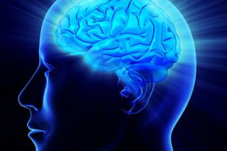 Boost Your Brain Power