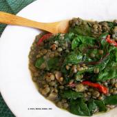 Saladmaster Recipe Braised Lentil Stew by Cathy Vogt