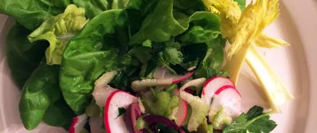 Saladmaster Recipe Tangy Radish Salad