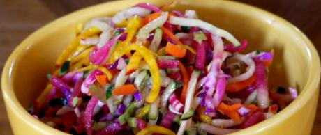 Saladmaster Recipe Rainbow Slaw Salad
