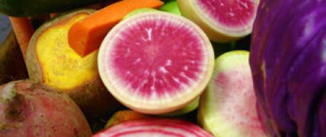 Saladmaster Recipe Rainbow Slaw Salad Veggies