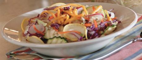 Saladmaster Healthy Solutions 316 Ti Cookware: Saladmaster® Health Salad