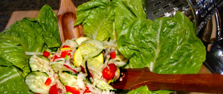 Saladmaster 316Ti Recipe Summer Vegetable Salad with Lime Vinaigrette